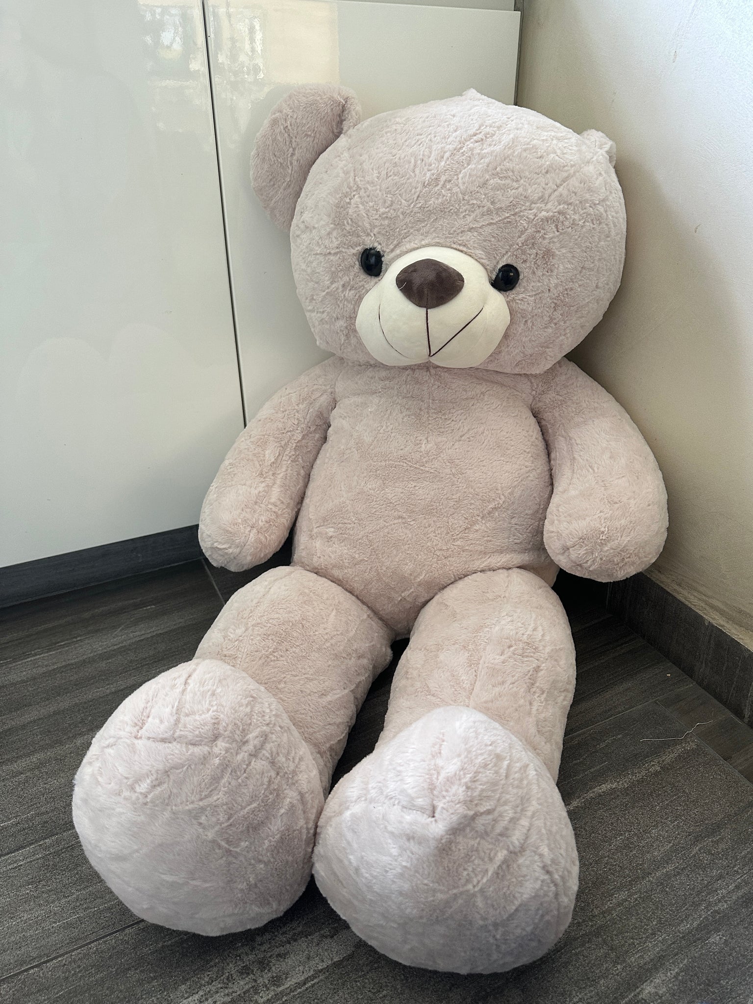 4 feet teddy bear at best sale low price