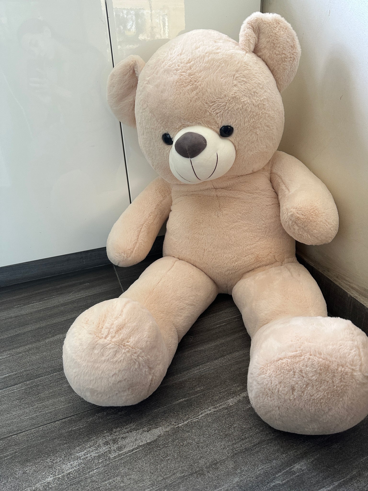 4 sale feet teddy