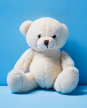 Load image into Gallery viewer, 6 inch Teddy Bears
