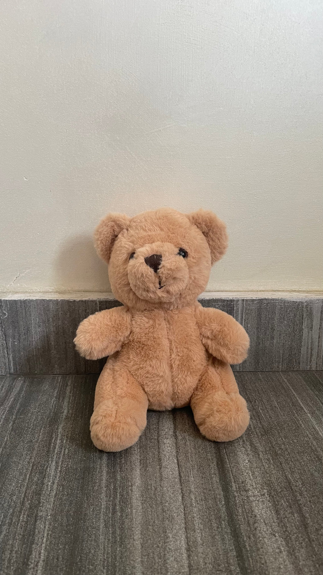 10 inch Teddy Bears