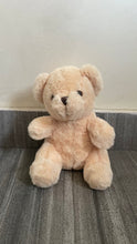 Load image into Gallery viewer, 10 inch Teddy Bears
