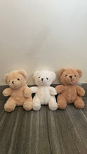 Load image into Gallery viewer, 10 inch Teddy Bears
