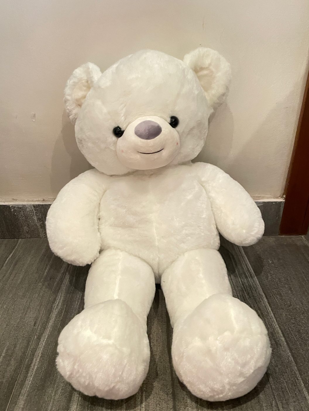 2.5 feet Teddy Bears